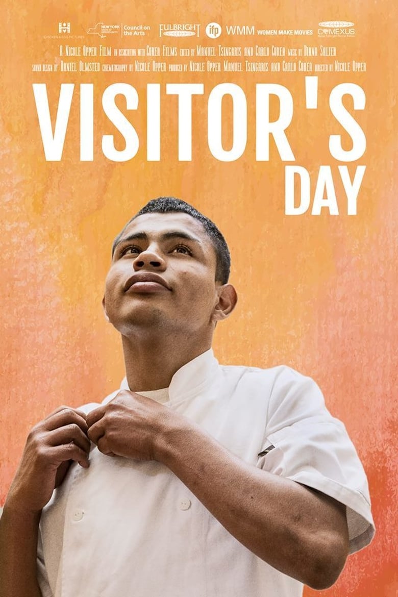 Poster of Visitor's Day