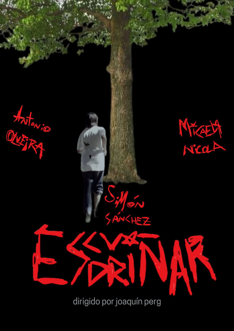 Poster of Escudriñar