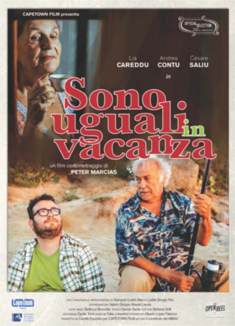 Poster of Sono uguali in vacanza