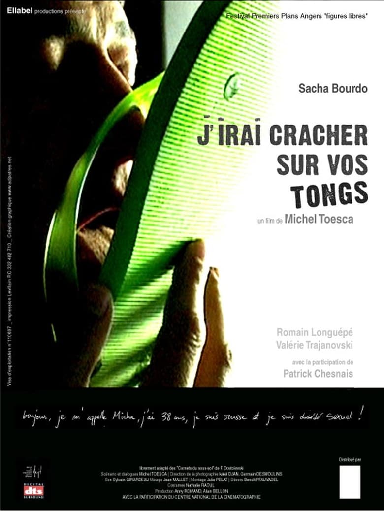 Poster of J'irai cracher sur vos tongs