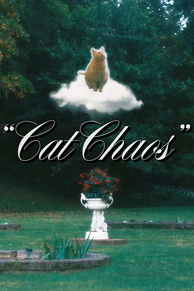 Poster of Cat Chaos