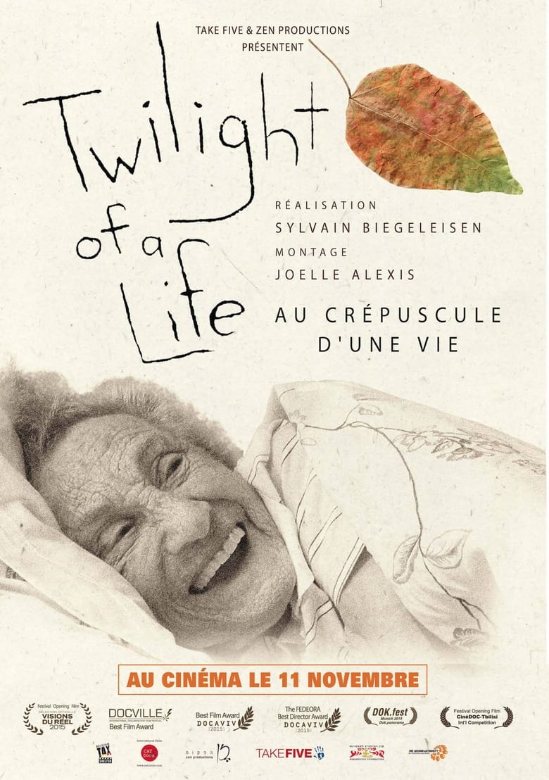 Poster of Twilight of a Life