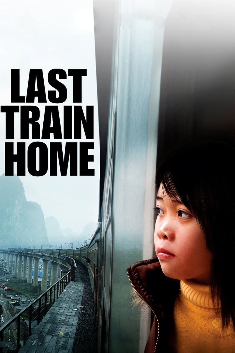 Poster of Last Train Home