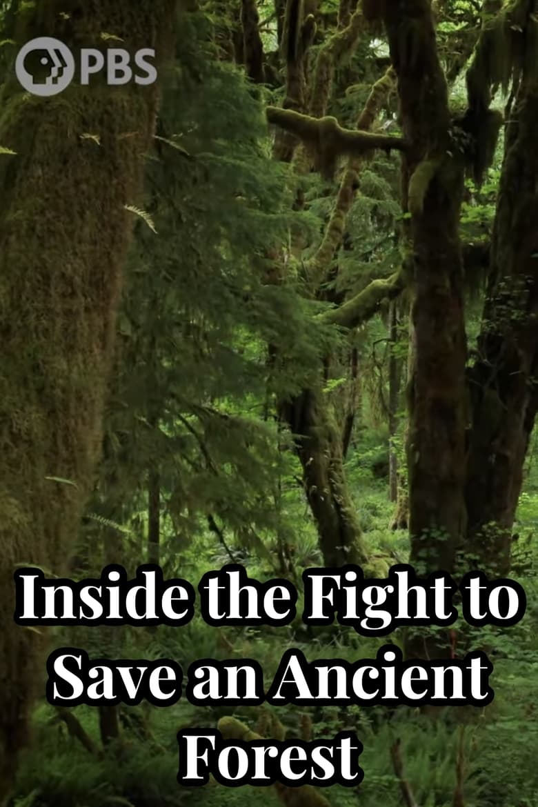 Poster of Inside the Fight to Save an Ancient Forest (and the Secrets it Holds)