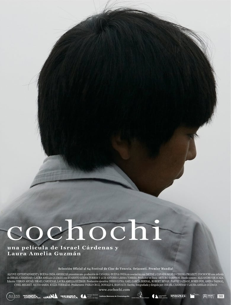 Poster of Cochochi