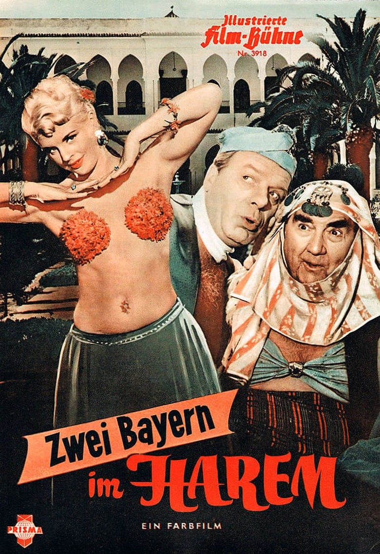 Poster of Zwei Bayern im Harem