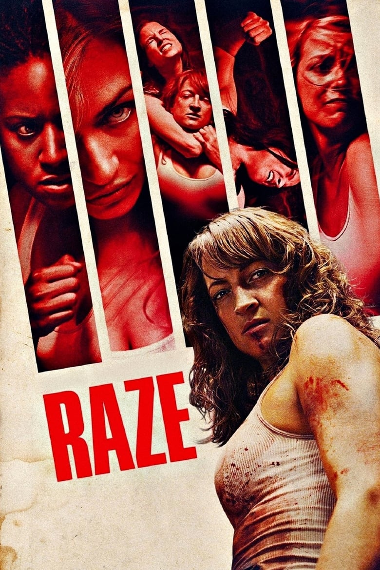 Poster of Raze