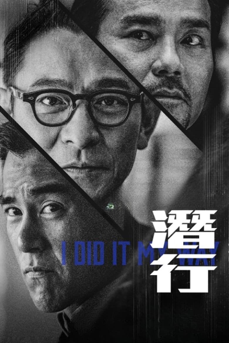 Poster of I Did It My Way