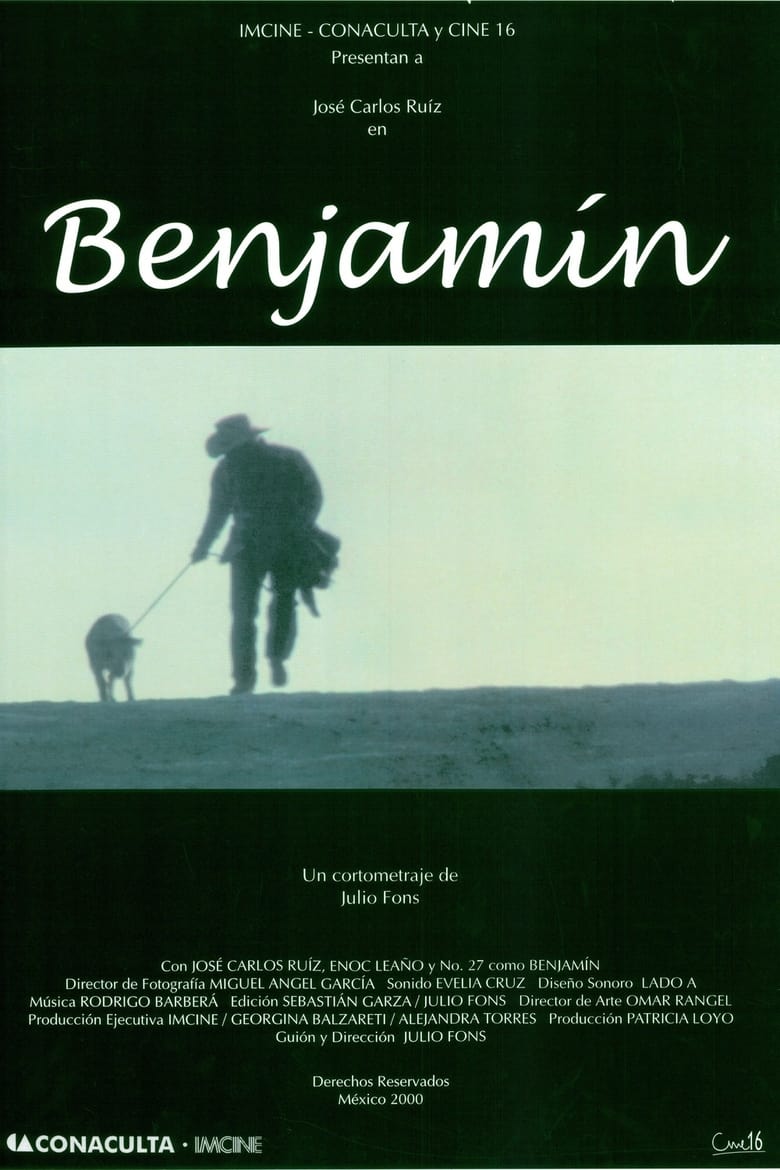 Poster of Benjamín