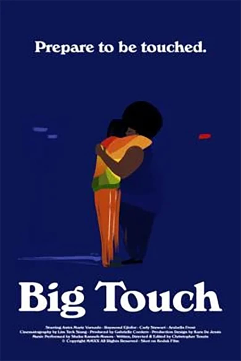 Poster of Big Touch