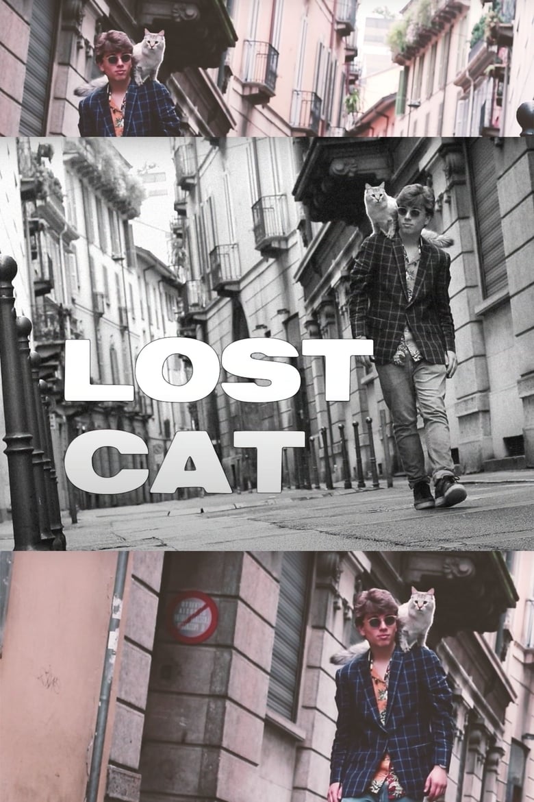 Poster of Lost Cat