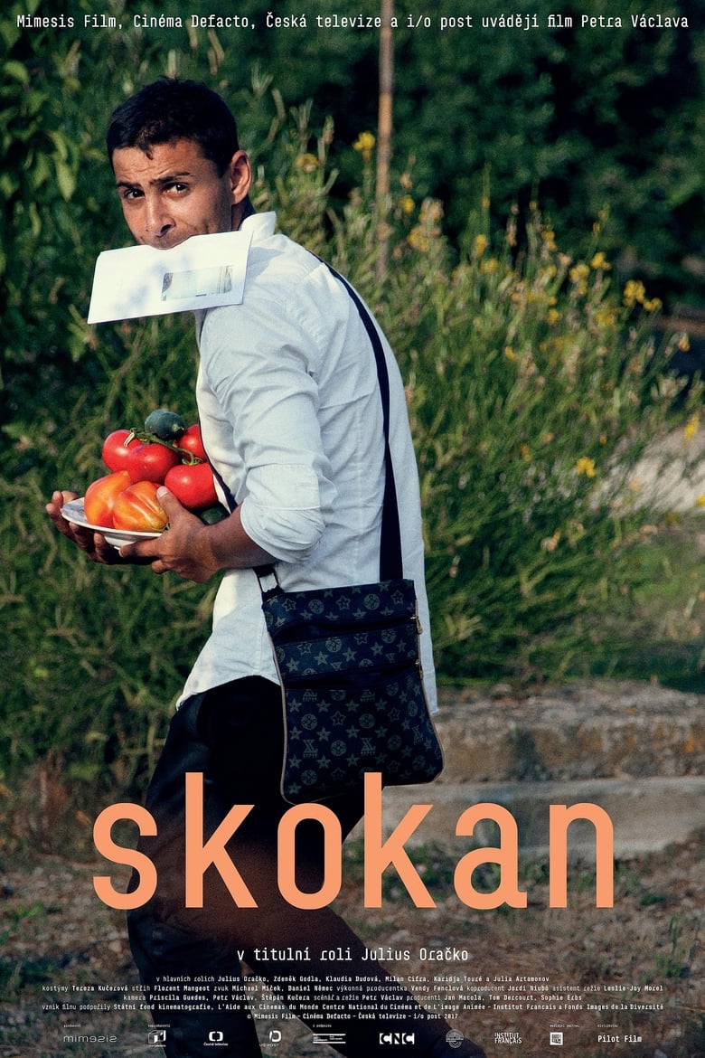 Poster of Skokan