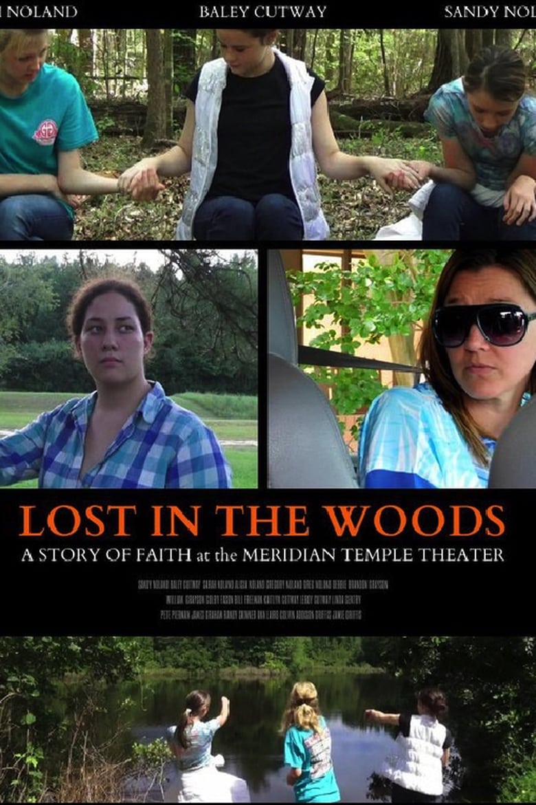 Poster of Lost in the Woods