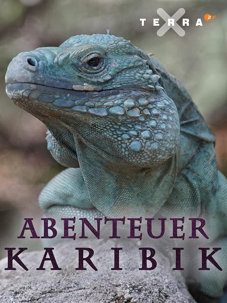 Poster of Abenteuer Karibik