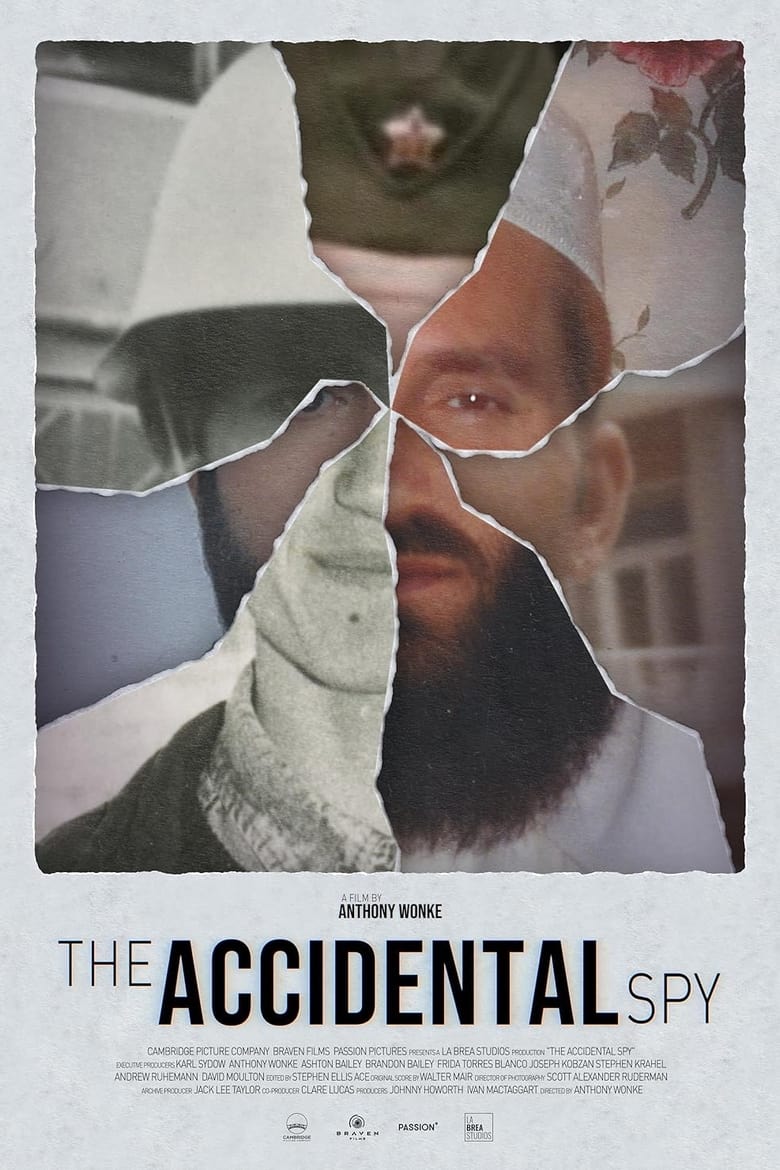 Poster of The Accidental Spy