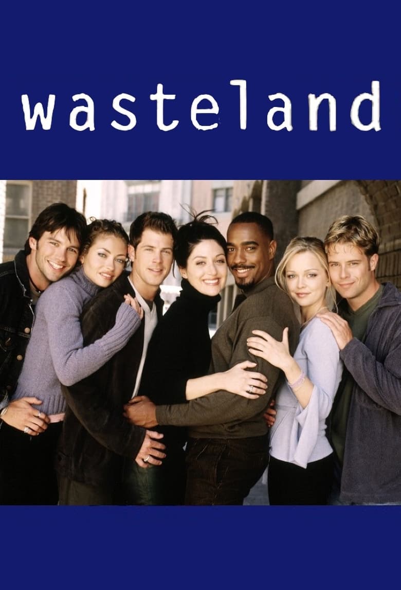 Poster of Wasteland