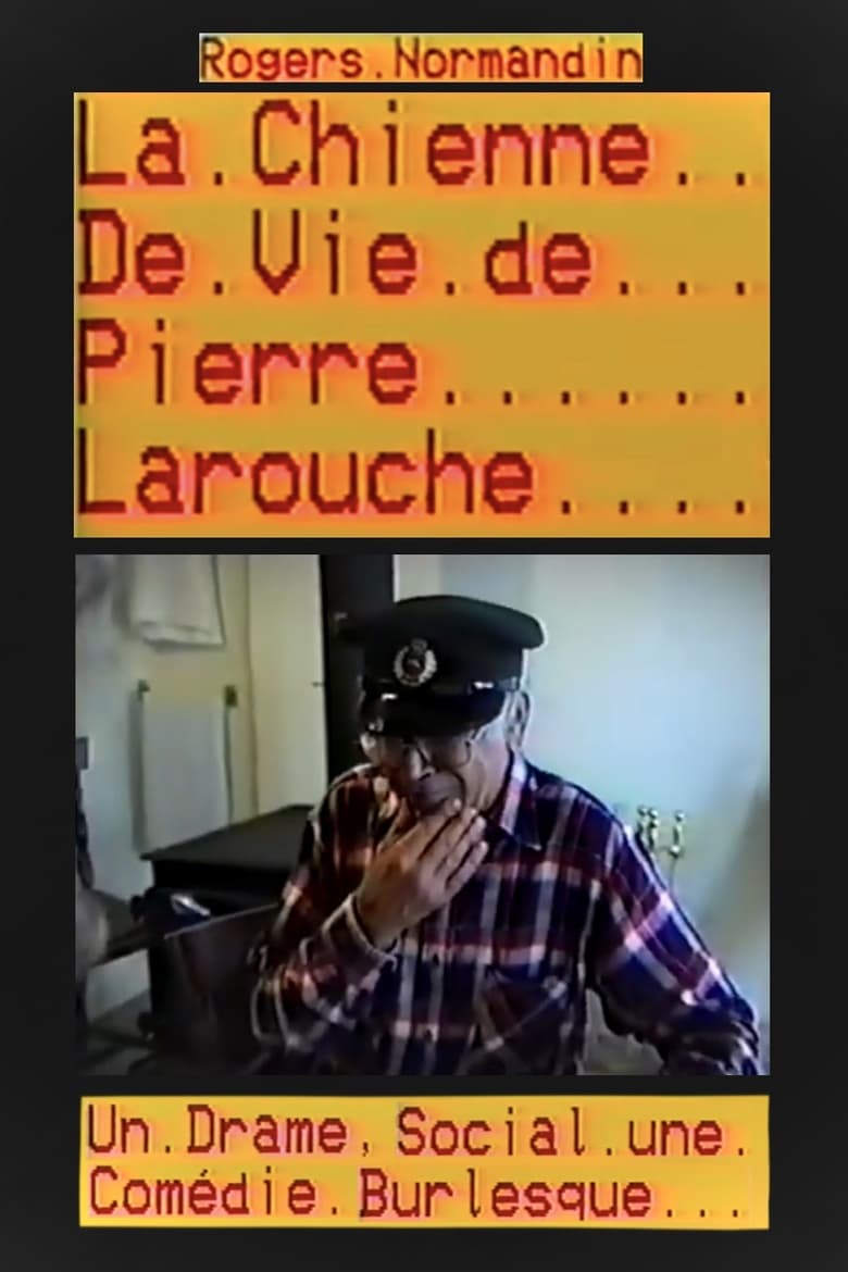 Poster of La chienne de vie de Pierre Larouche