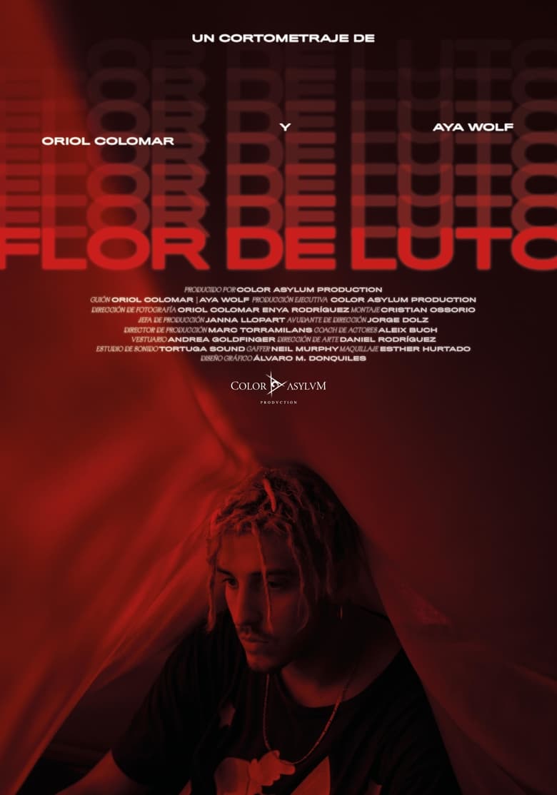 Poster of Flor de Luto