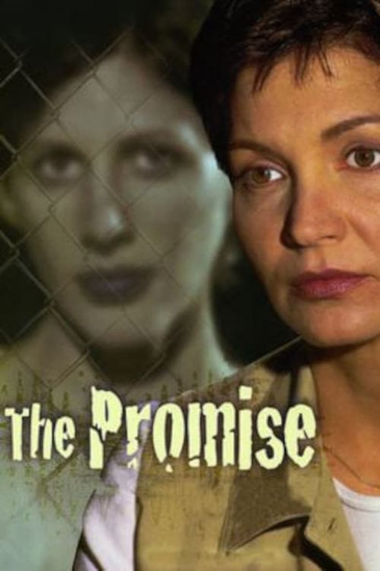 Poster of The Promise