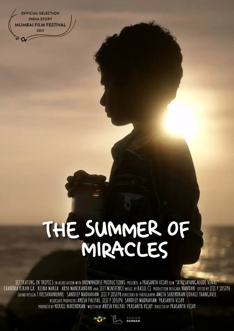 Poster of The Summer of Miracles