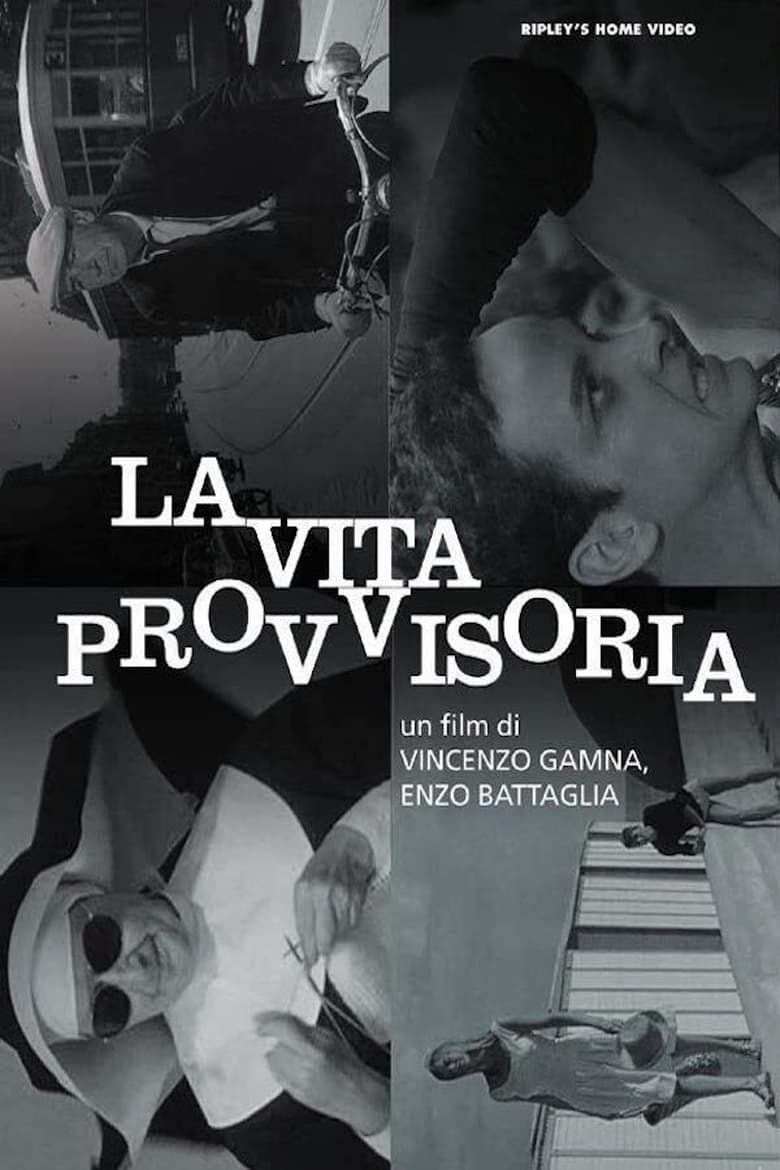 Poster of La vita provvisoria