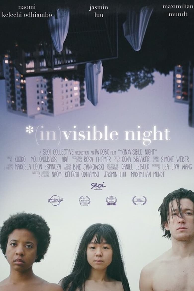 Poster of *(In)Visible Night