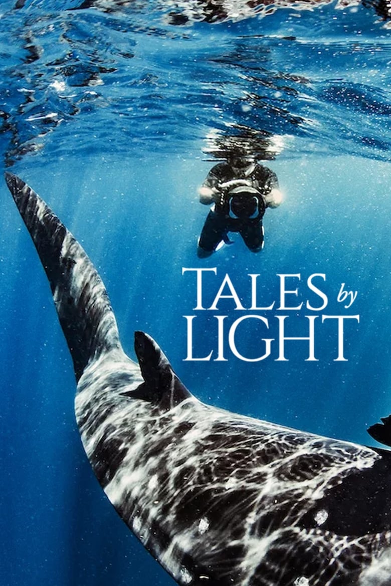 Poster of Tales by Light