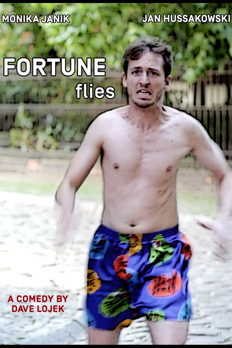 Poster of Fortune Flies