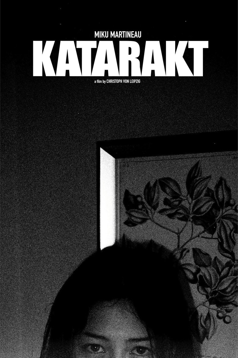 Poster of Katarakt