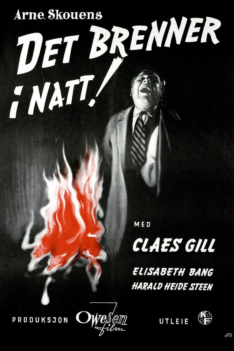 Poster of Fire in the Night