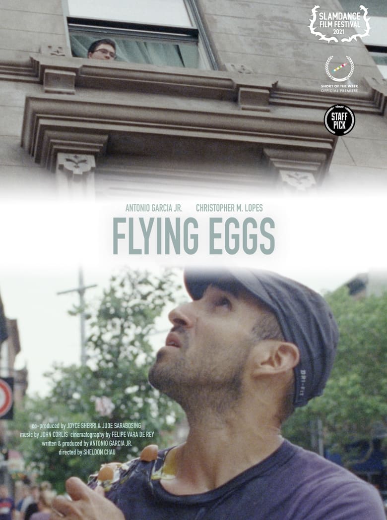 Poster of Flying Eggs