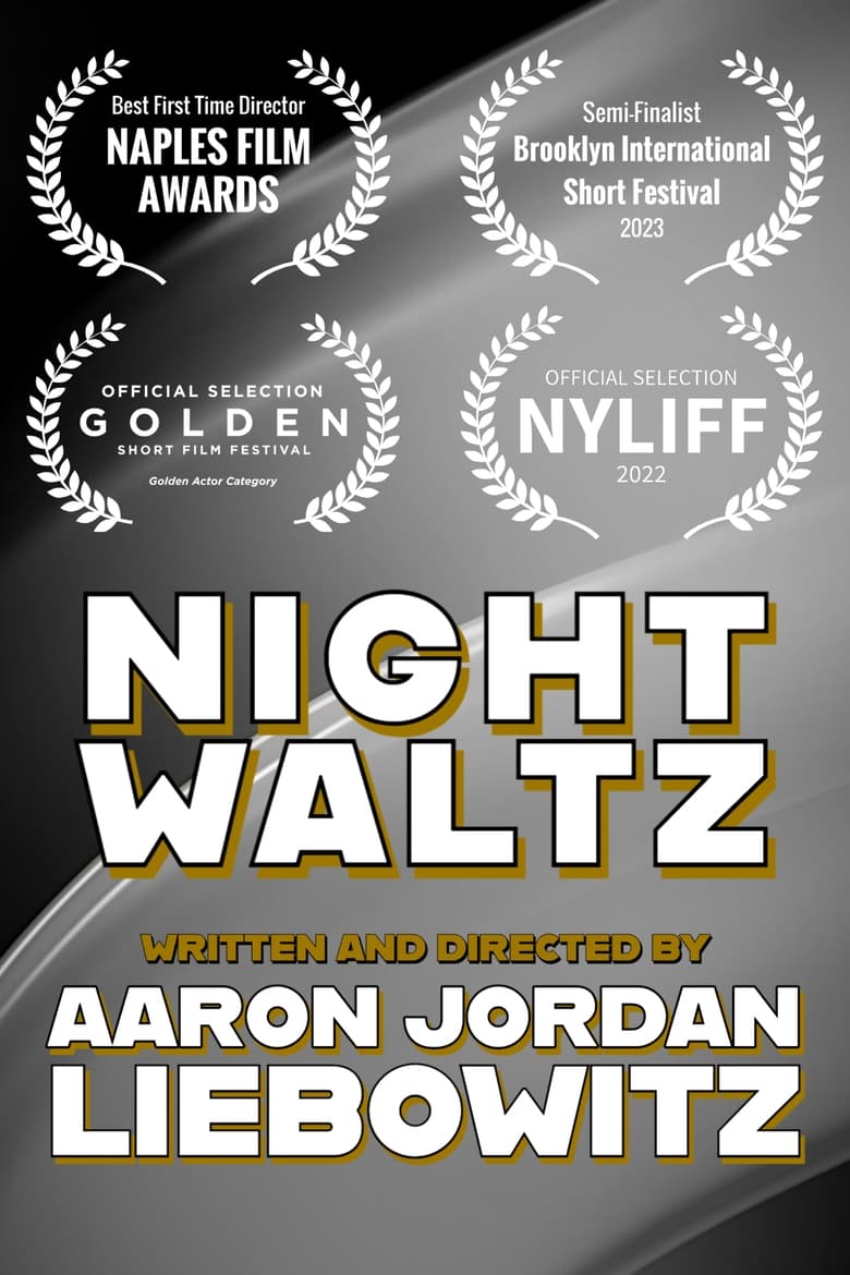 Poster of Night Waltz