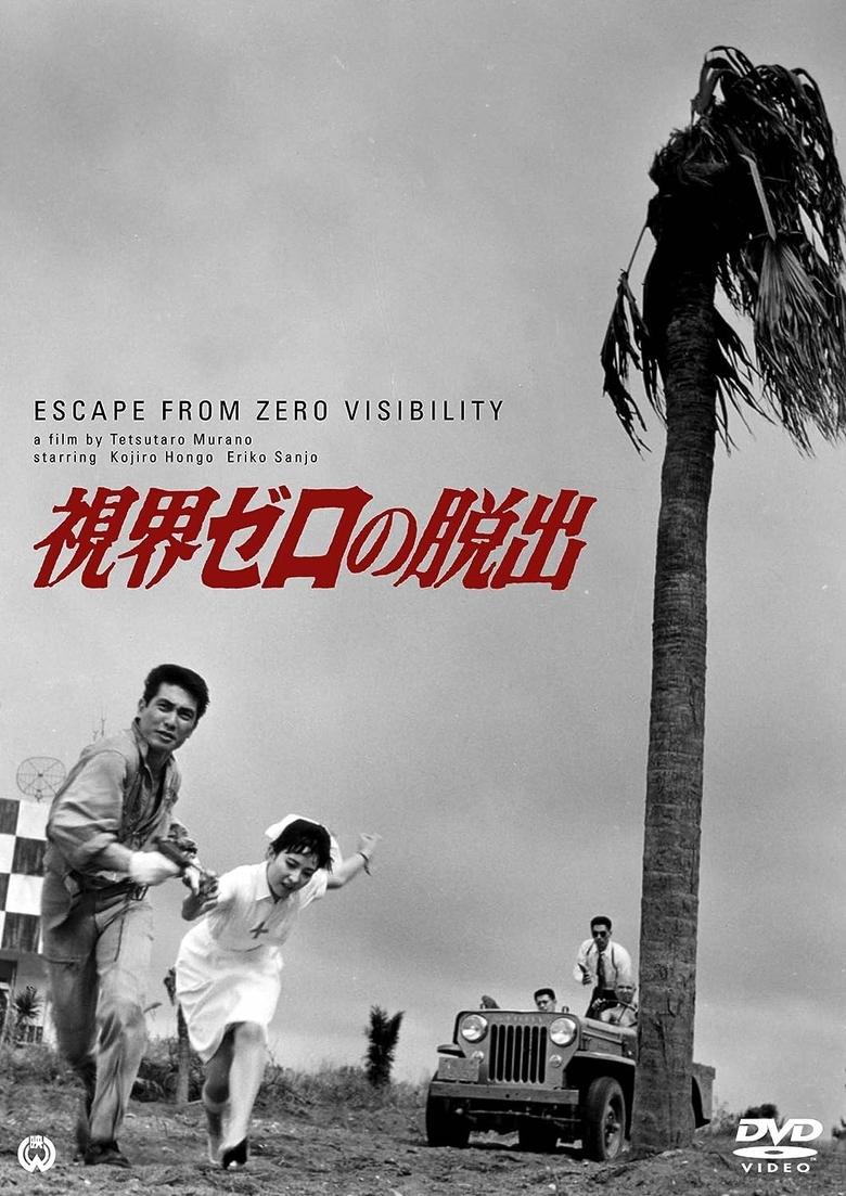 Poster of Zero Escape Visibility