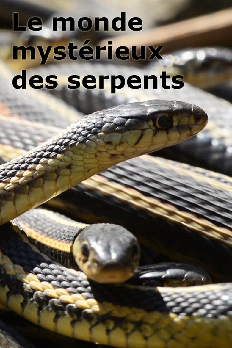 Poster of Le monde mystérieux des serpents