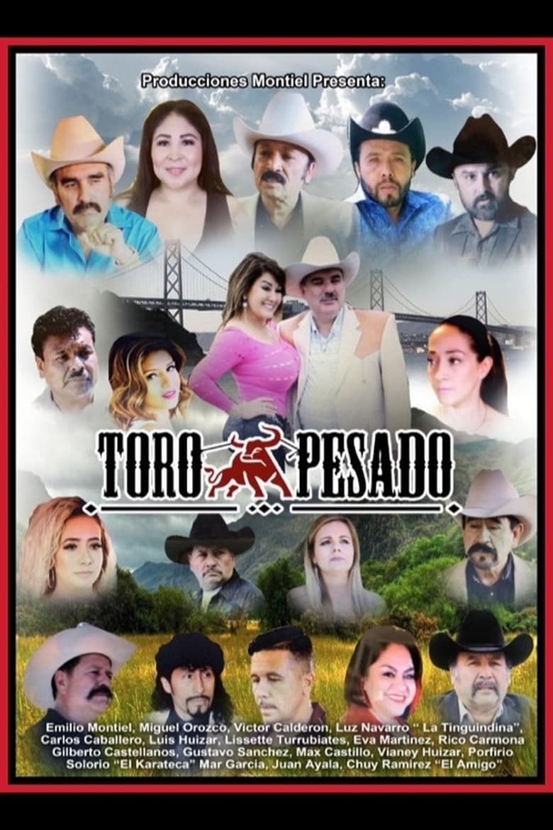 Poster of Toro Pesado