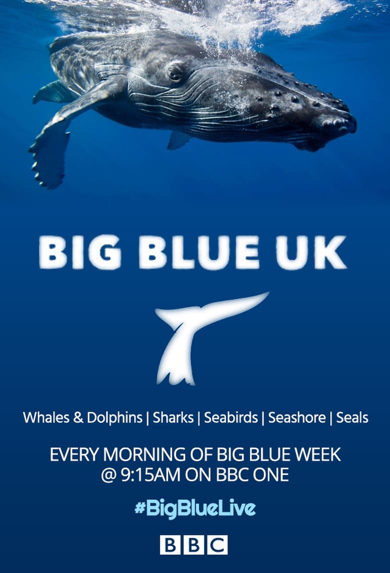 Poster of Episodes in Big Blue UK - Season 1 - Season 1