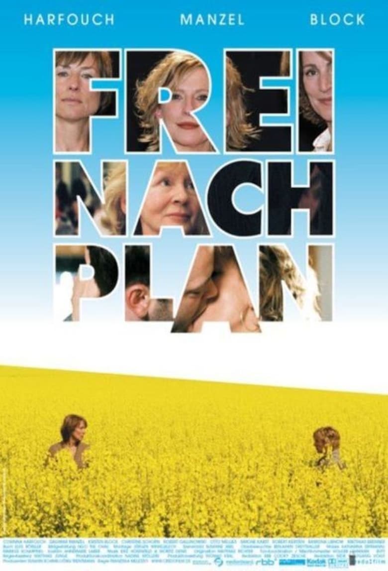 Poster of According to Plan