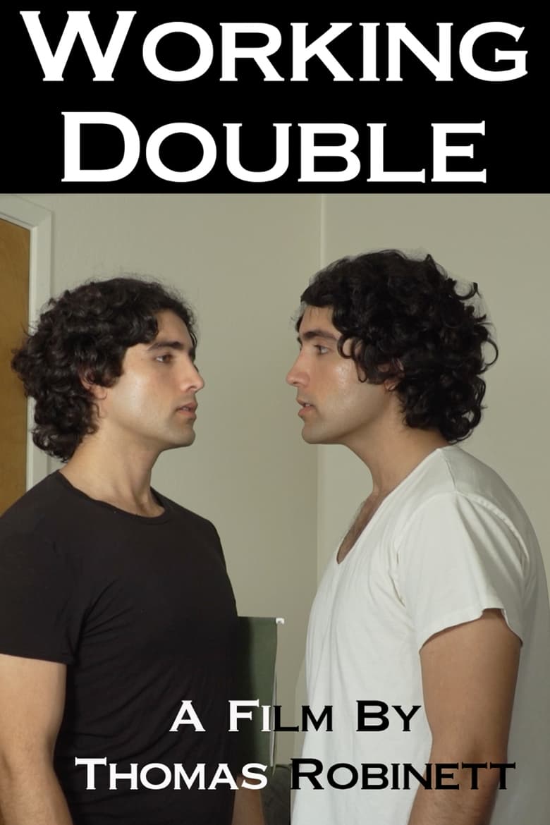 Poster of Working Double