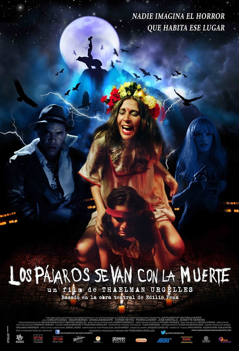 Poster of Los pájaros se van con la muerte