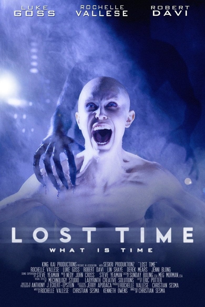 Poster of Lost Time