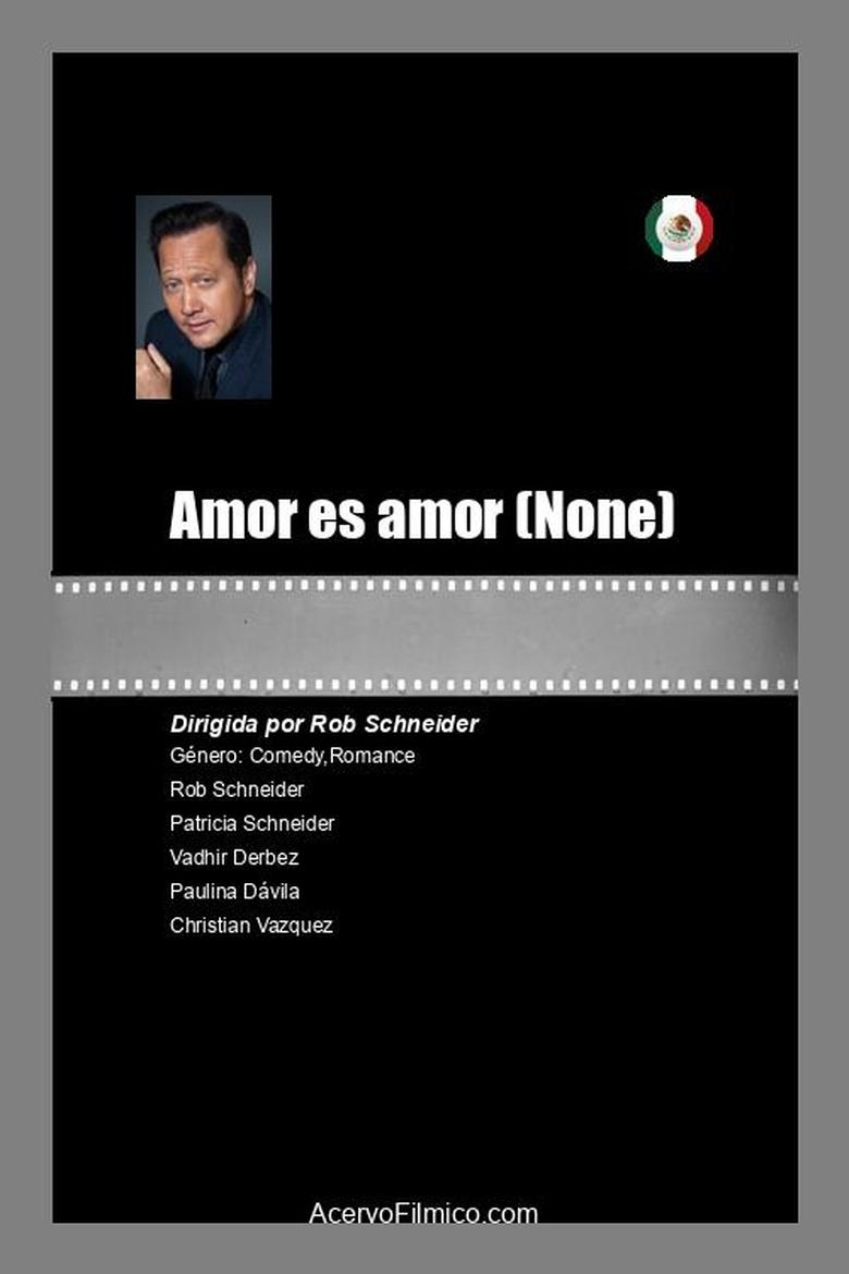 Poster of Amor es amor