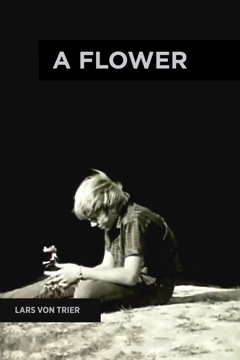 Poster of A Flower