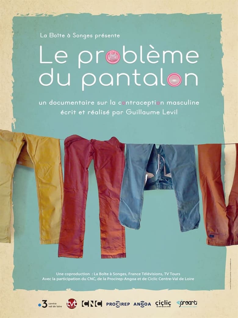 Poster of Le problème du pantalon