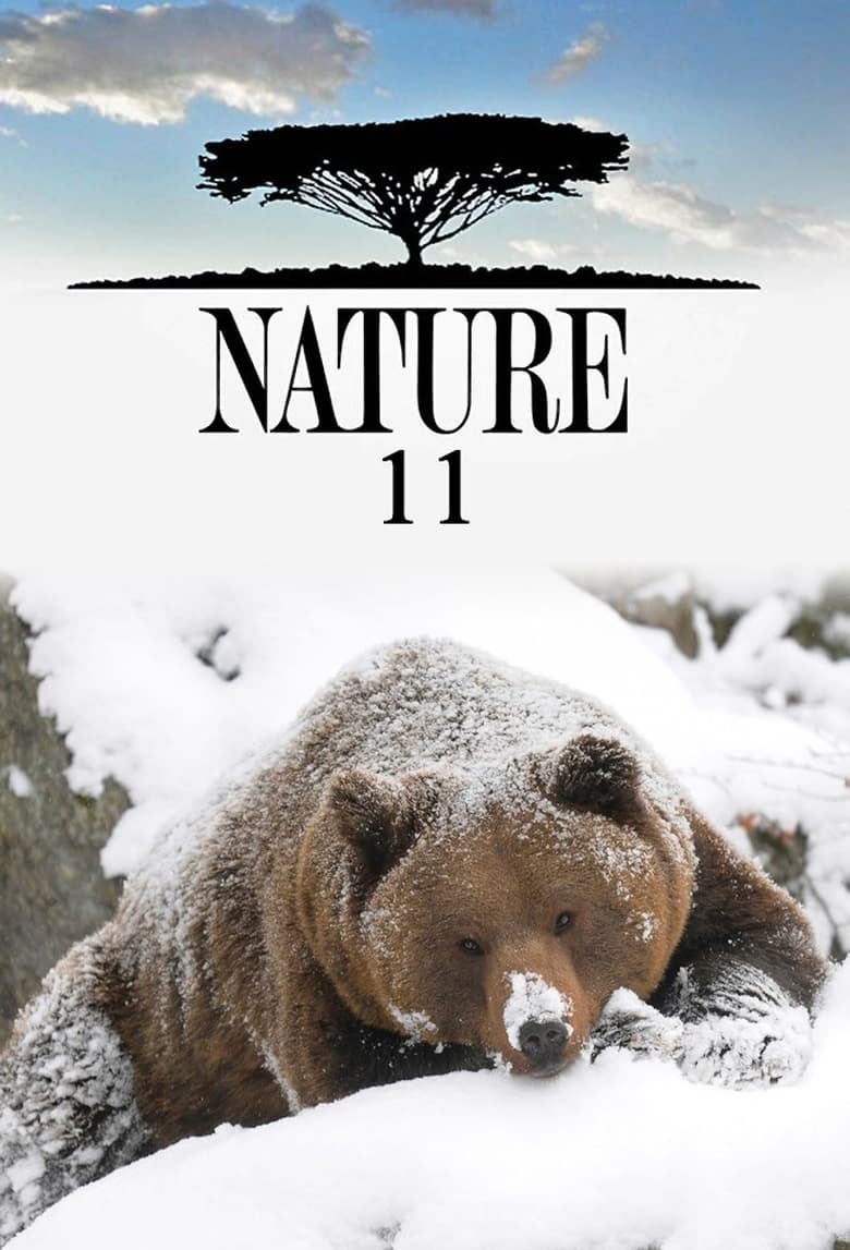 Poster of Cast and Crew in Nature - Season 11 - Episode 3 - Realms of the Russian Bear: the Red Deserts