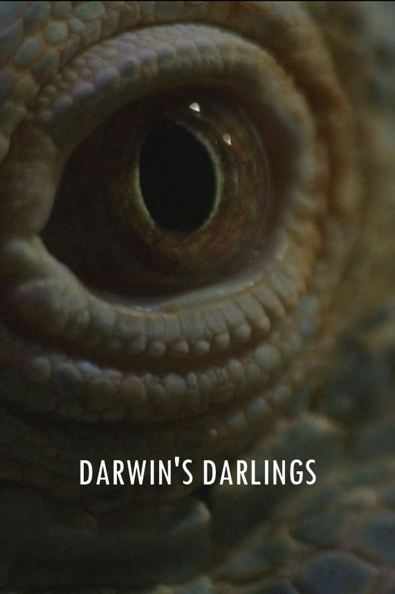 Poster of Darwin's Darlings