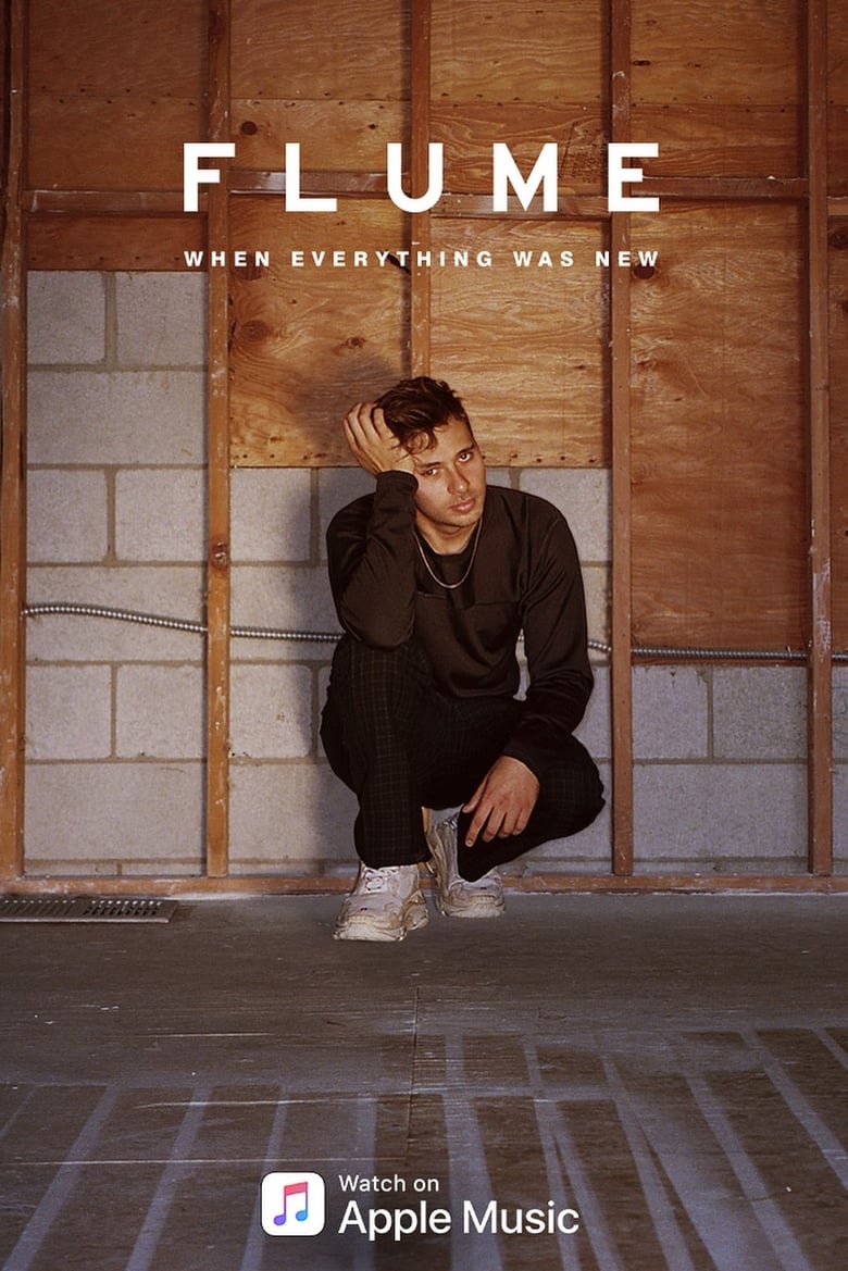 Poster of Flume: When Everything Was New