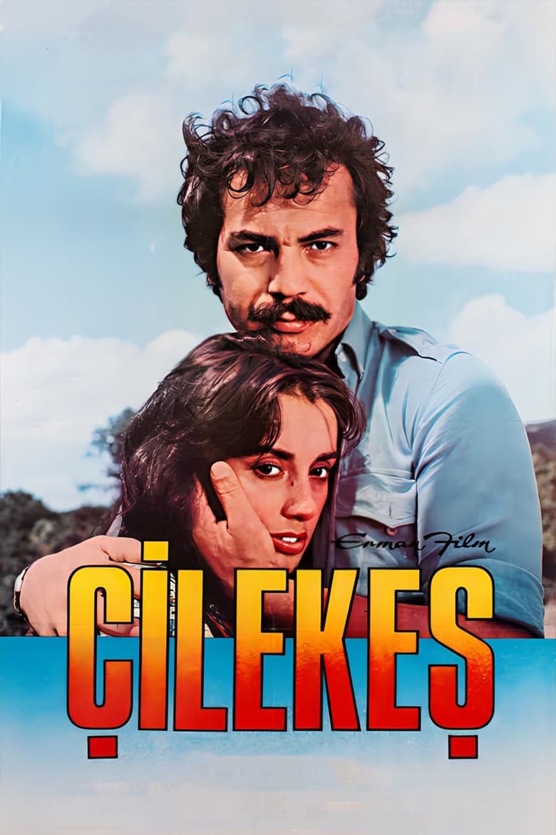 Poster of Çilekeş