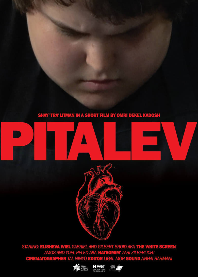 Poster of Pitalev