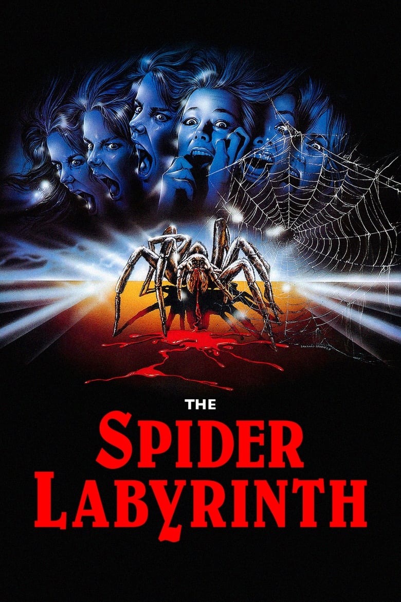 Poster of The Spider Labyrinth