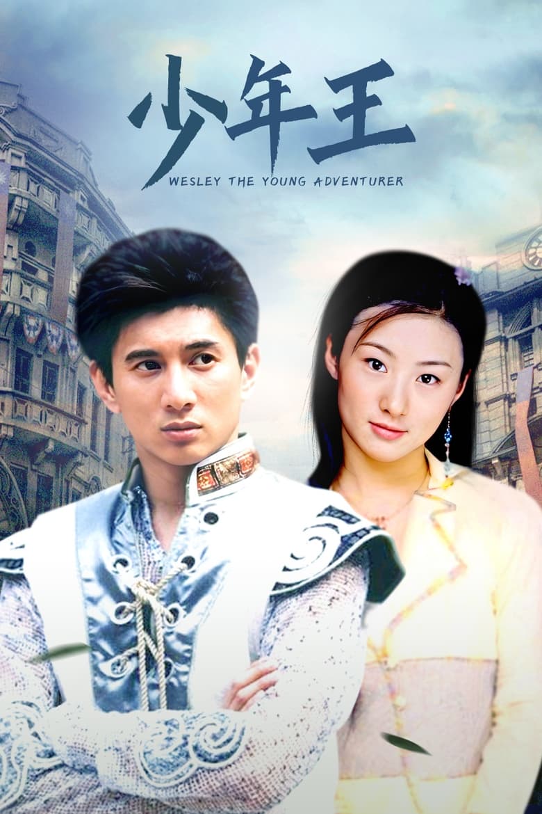 Poster of 少年王卫斯理